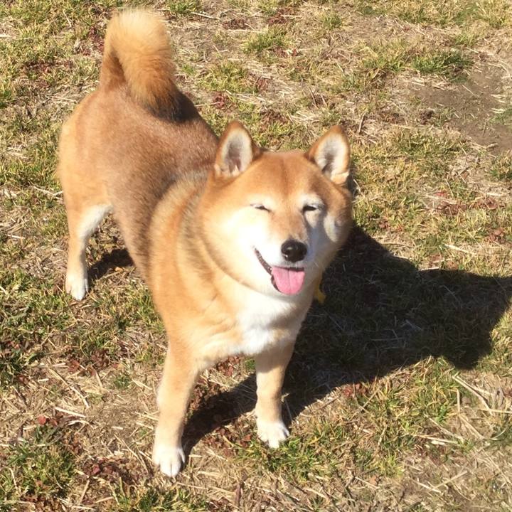 639324c9 8b42 4fec bc6f a77c496f6c80 1550465608131