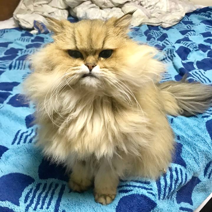 63933930 6952 433b 94dc d18b27cf8b8e 1549089554443