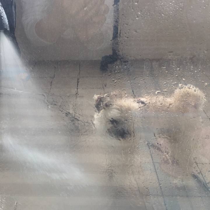 63935cec 2dd9 48e0 b20a 0861f6dd6fc9 1535599075763