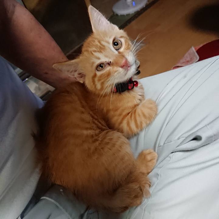 63935d51 973a 43da a18b 60c52a666c80 1629882195058