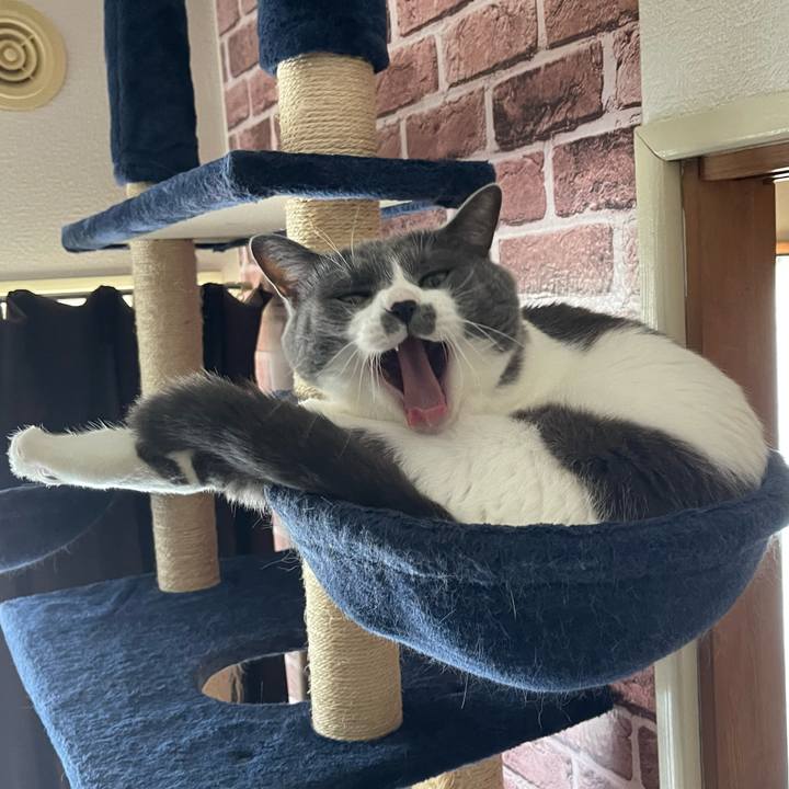 639360cf 4fe7 41a9 856f 8504485a5144 1657088657220