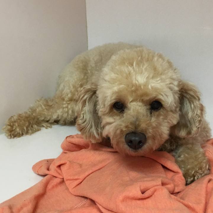 63936cb5 d963 4af2 a7ed f37f1d153003 1508303472069