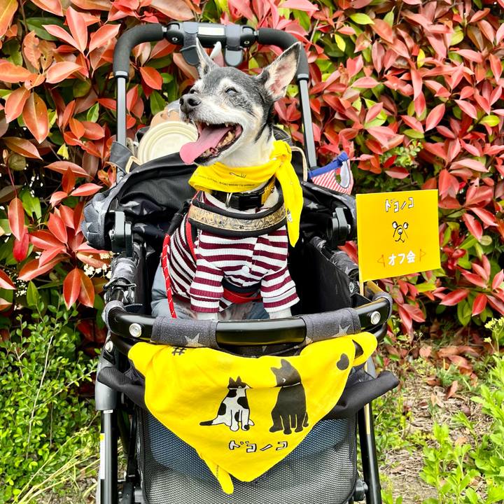 639372a8 b6d5 4cda b8a9 57455b0101a5 1650698096724