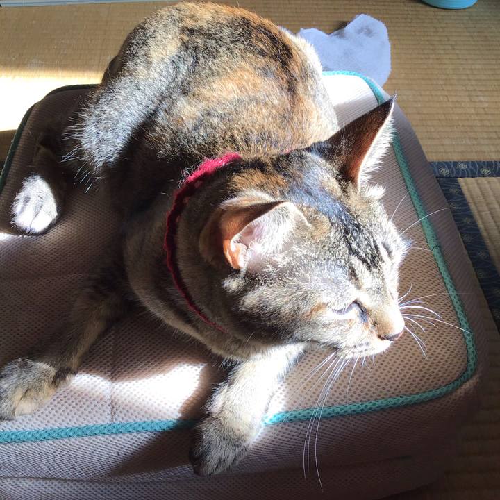 63938466 d6cd 4087 aa87 d4a3baba1fc5 1598659647643