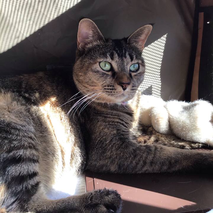 6393955c 7a76 4914 9b13 4653bf2300ca 1700474191541