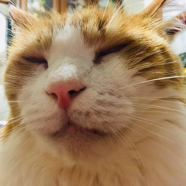 6393c9bc 4227 445b a835 64d1360b7b9b 1545404607372