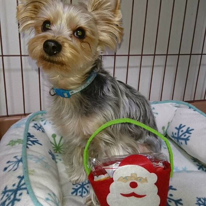 6393de92 8515 46cb a616 4f5d3ffe14a2 1513403614889