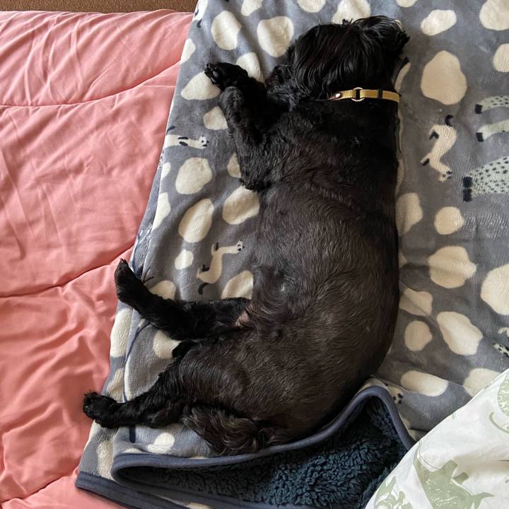 6393e41a 6535 498e a16d d4b37ff9433f 1589110501152