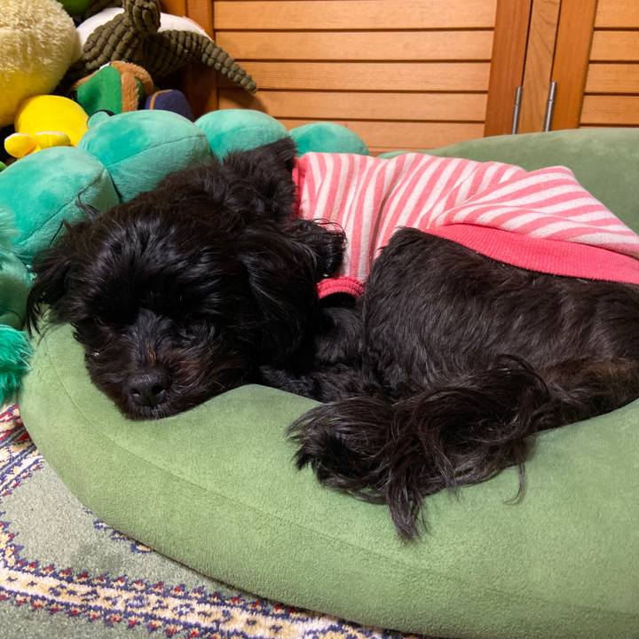 6393eece 93b1 4a63 9e02 d592f0eb0eb1 1575116525609