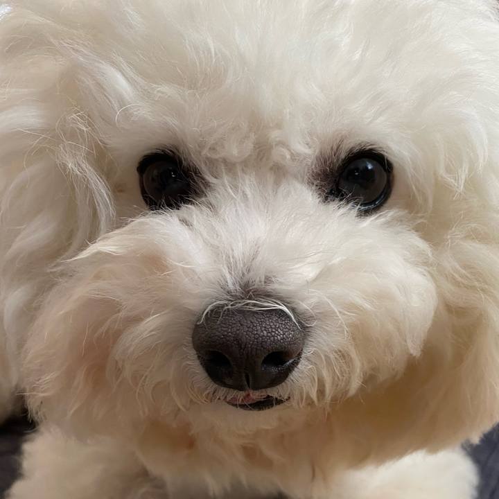 63941d0b 4816 44ea b88b d0823c6dc690 1654056737326