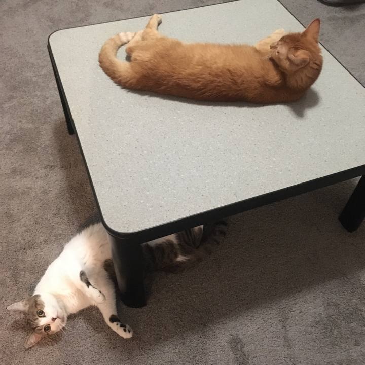 6394261b 5894 4655 8f53 5343eb4140bd 1663801234661