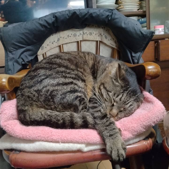 63942830 5ac0 4ed4 ab9a ba0b8bfbdf71 1714440307385