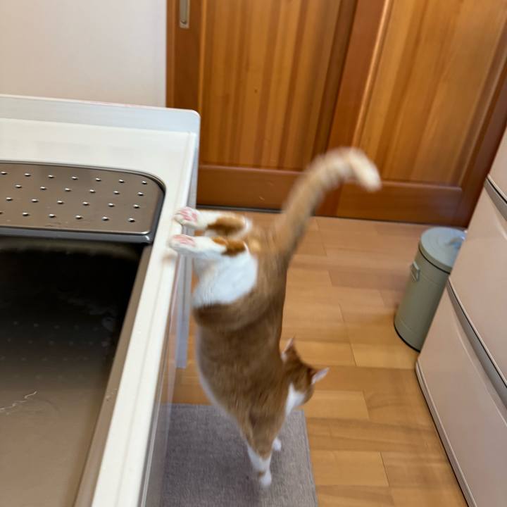 63943058 4bac 4791 9fe7 8ae96cbe956d 1766890543092