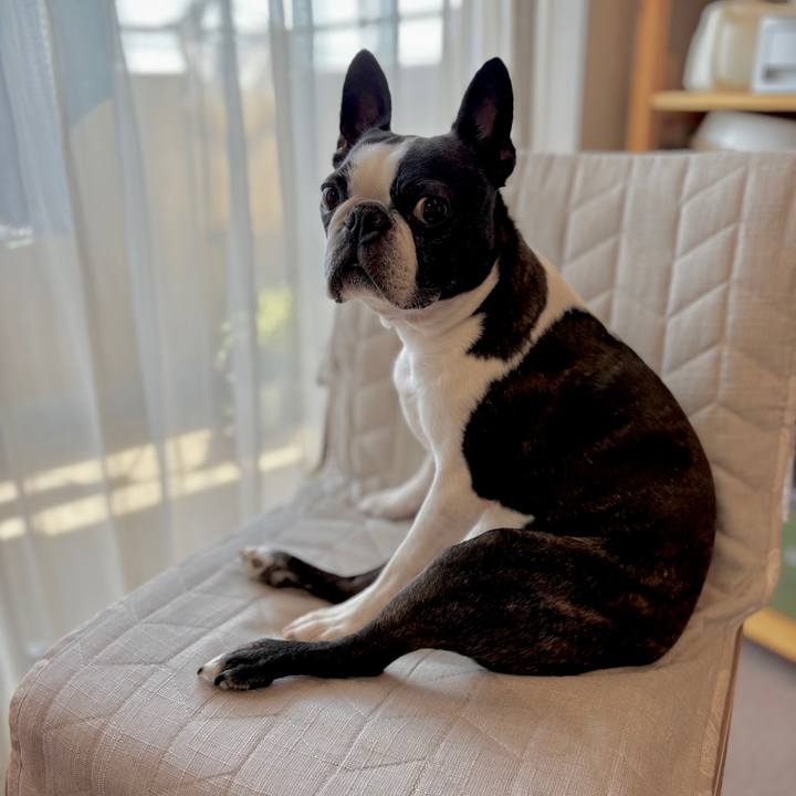 63943817 84a3 44a8 a73b aa20c2884e25 1746241602755