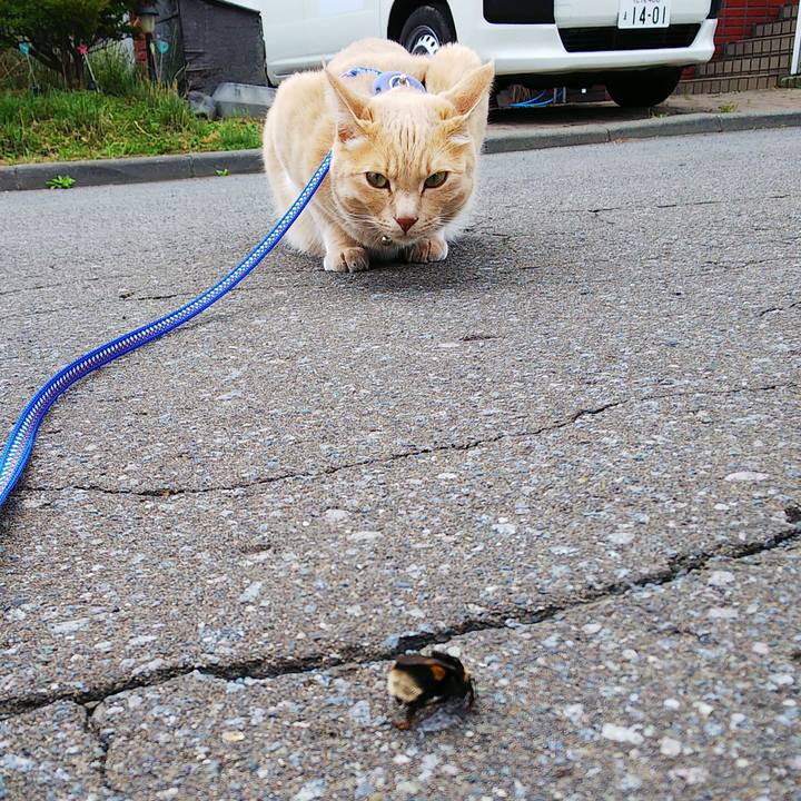 63944ead fd3e 478e 869b d1300e70c981 1599522222680