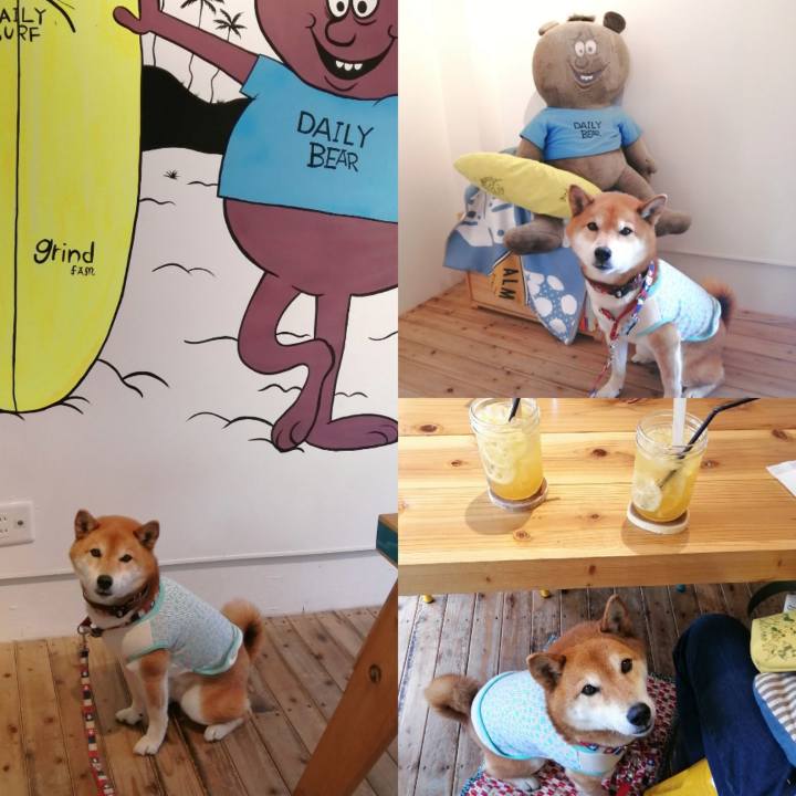 63948291 f9b2 4653 9e18 4e7241fb4095 1680331125336