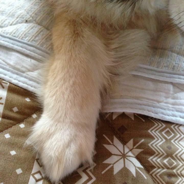 63949f44 4e23 472b ae28 28f696c37516 1589867418007