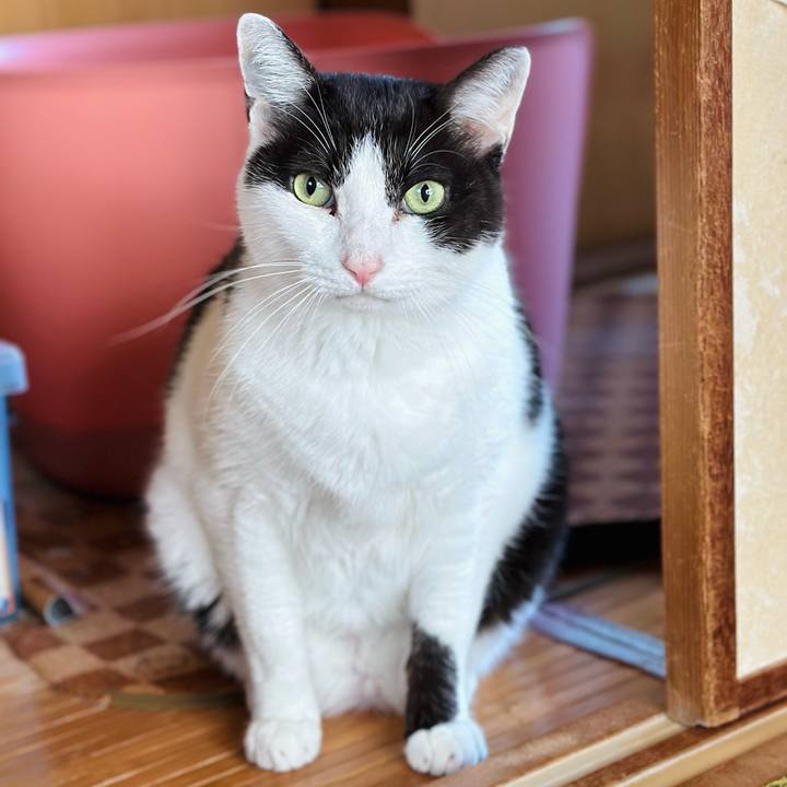 6394b3b5 1379 4a3b 8ce2 1414d39f6e9f 1667353243095