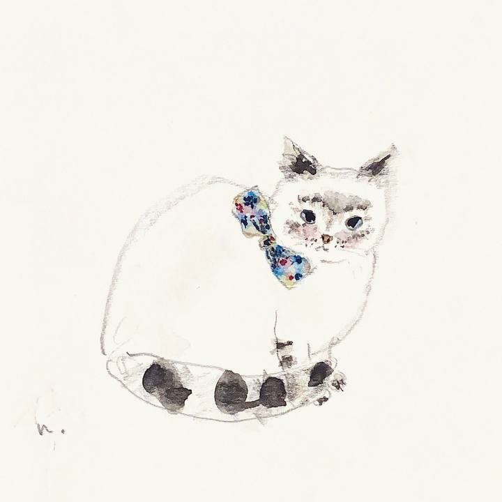 6394c2bc 3289 4317 bf44 fe26e9806e1b 1621685952167