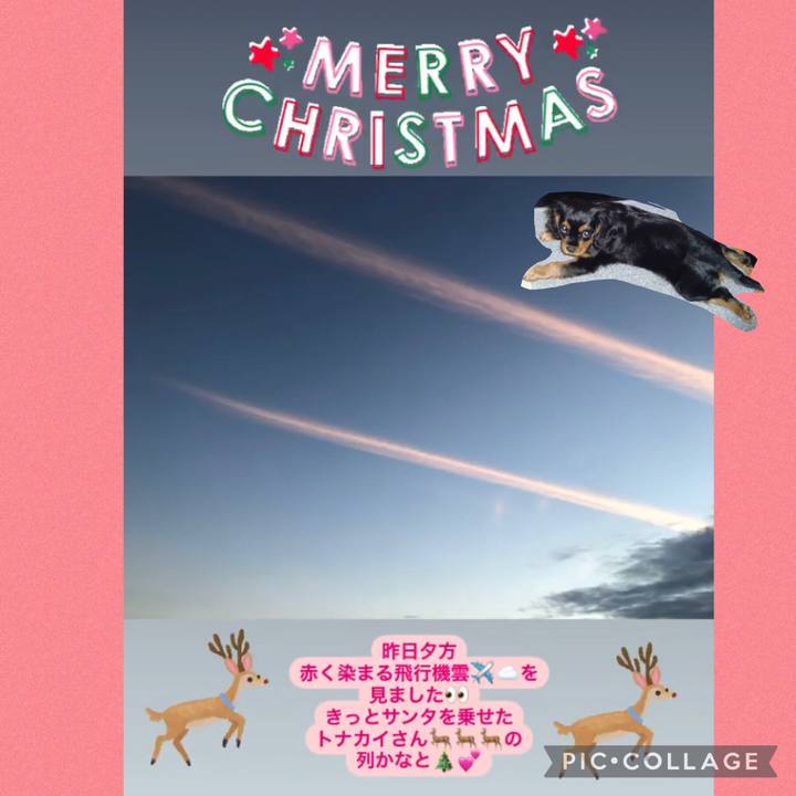 6394c5d6 6505 44a1 b5ac b8e1b6f18e39 1640400101608