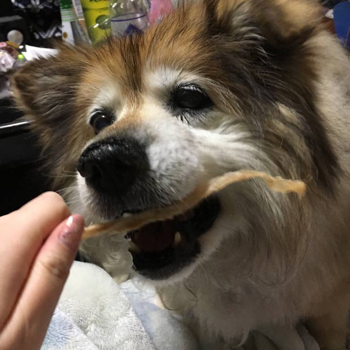 6394ebf1 6364 4d0b b1fe 7d4fe62b0539 1559176027992