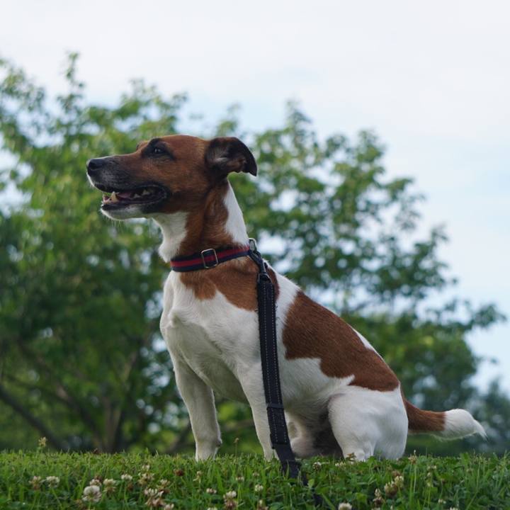 63950715 d54d 4cdf b7cd d3f4140cac1e 1529967420470