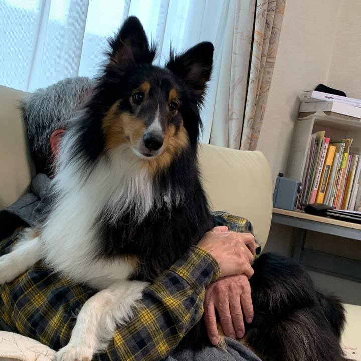 63951fda 6aa5 4639 bdde 4912898725d0 1587184618496