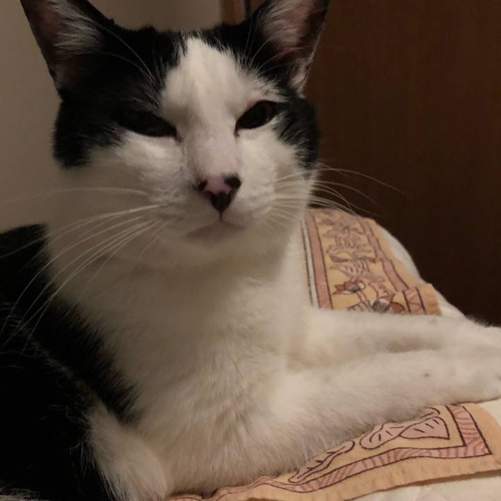 639523b8 07ba 4ef6 b6e8 9652d5747f12 1561048453249