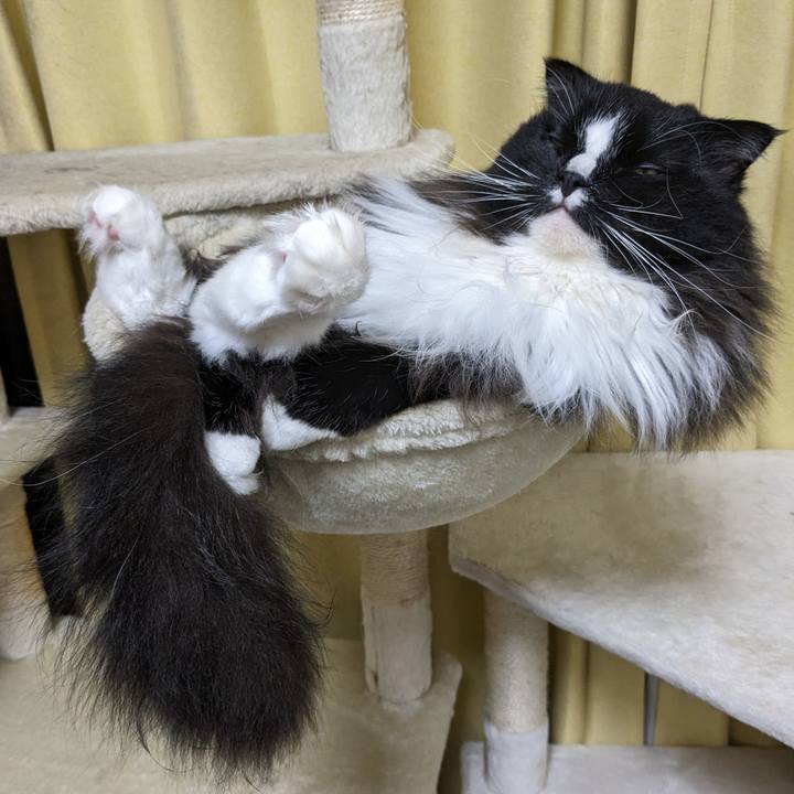 63952759 29f8 4a60 b810 5e461be6e6fd 1688555005001