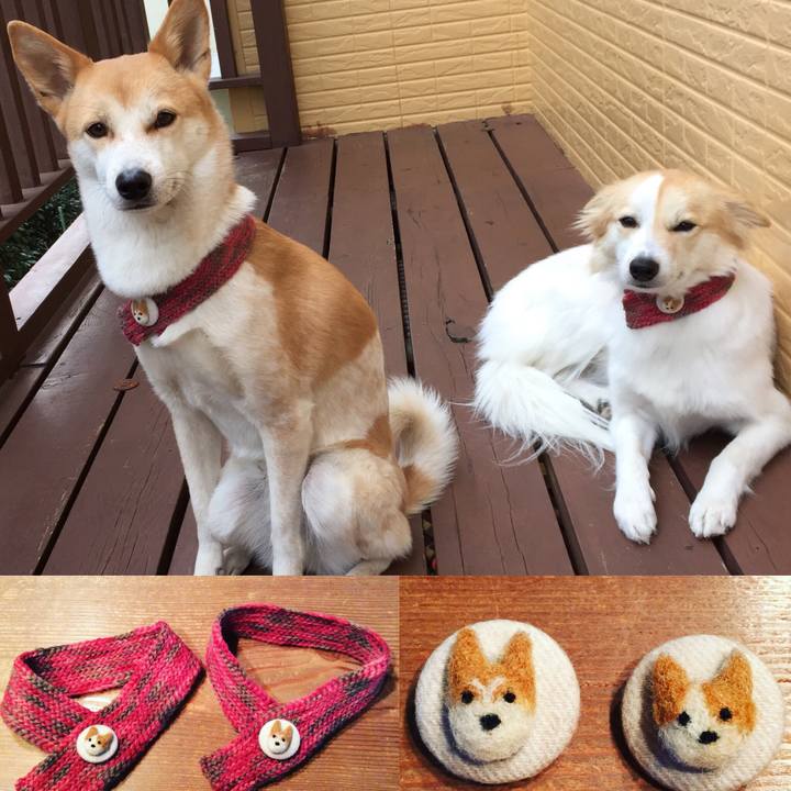 63955729 c9aa 43ff 8e6d 915c162c148e 1513383535086