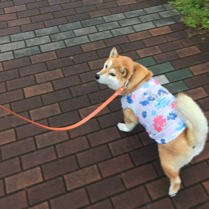 63959ab0 3cd7 4bfa b94f 345225ebcf63 1563143627848