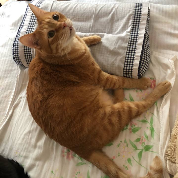 63959d6d 4614 4bc8 916d ecb522aebb1b 1583532354893