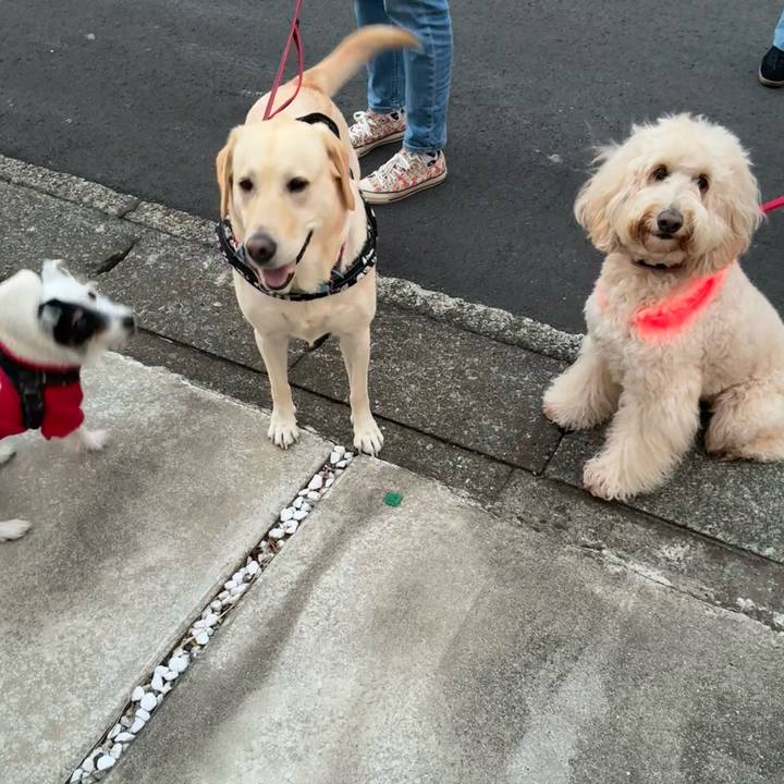 6395a437 1195 4f21 9672 d1a1df13ccd8 1762415379652