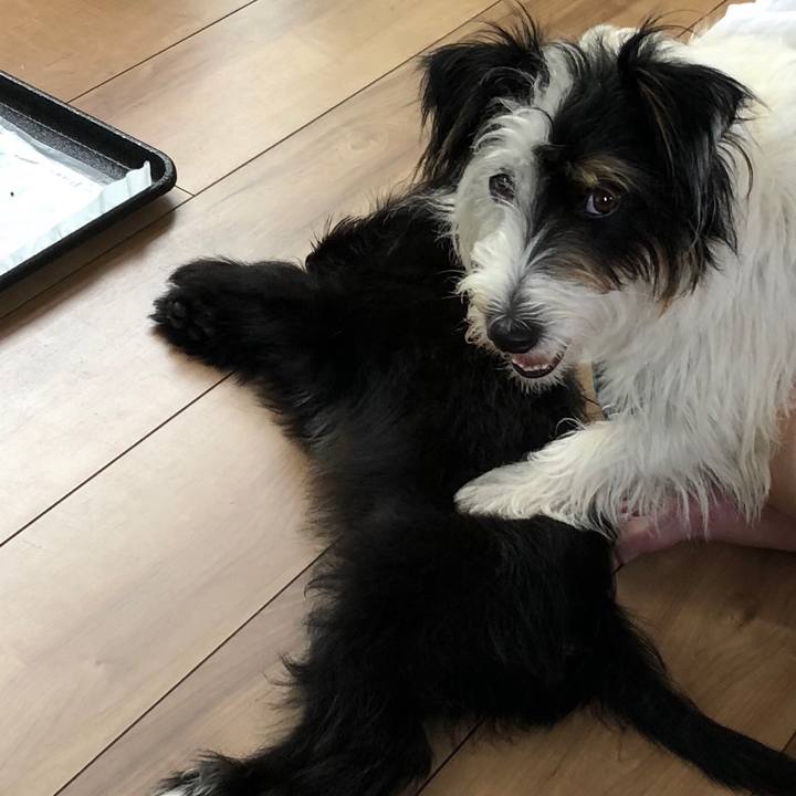 6396163a 23da 4955 af53 c044aa43bcea 1531349562559