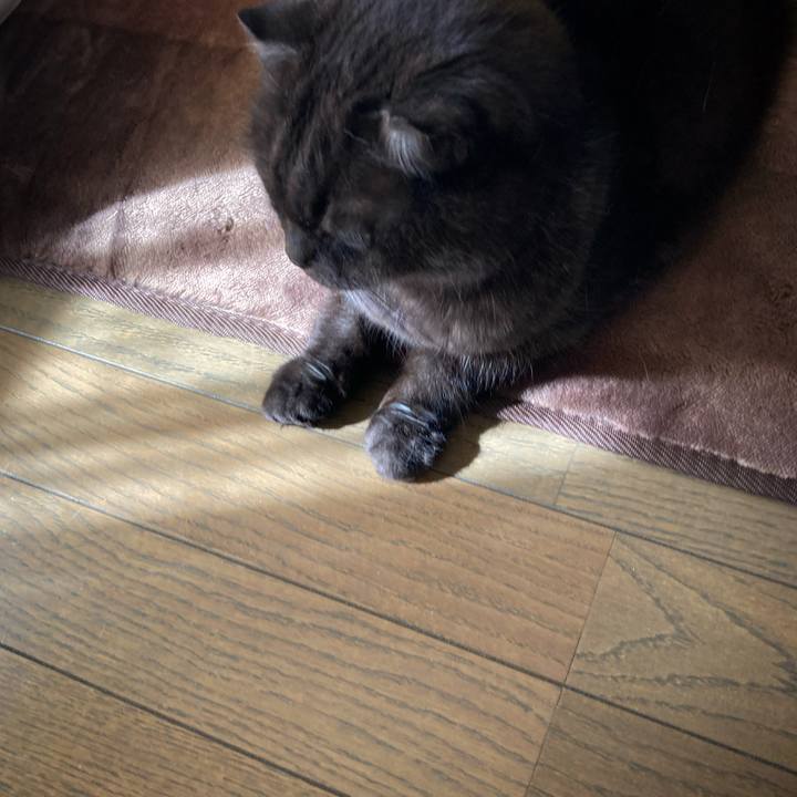 639639d9 b97d 4e49 ae19 178f67689301 1635383403086