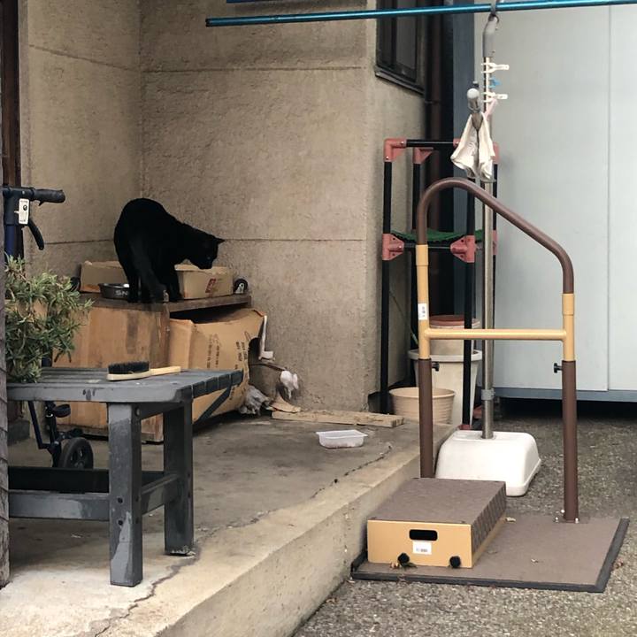 639643f5 5772 4740 9820 b6f0cf69b7e4 1580740895441