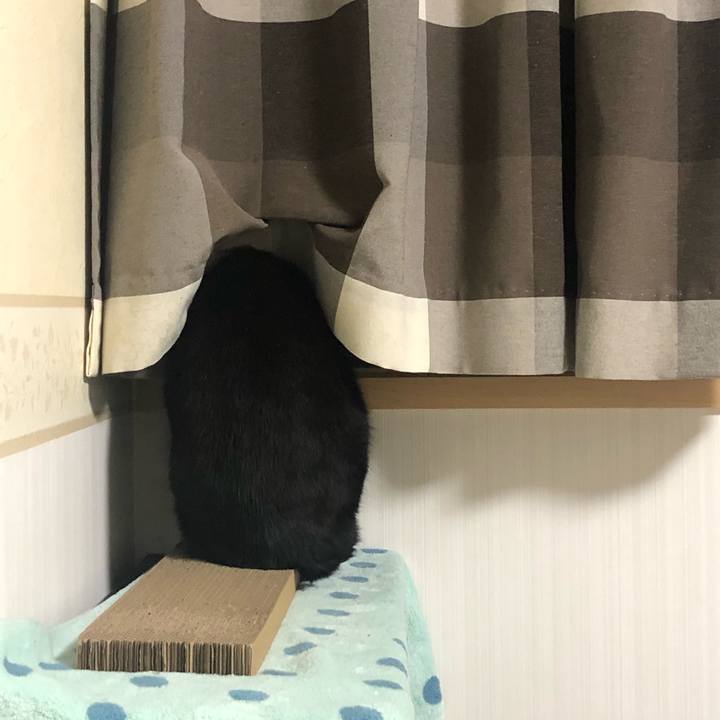 639665a1 ef3c 4b1b 8ab0 addf80e54940 1582533677065