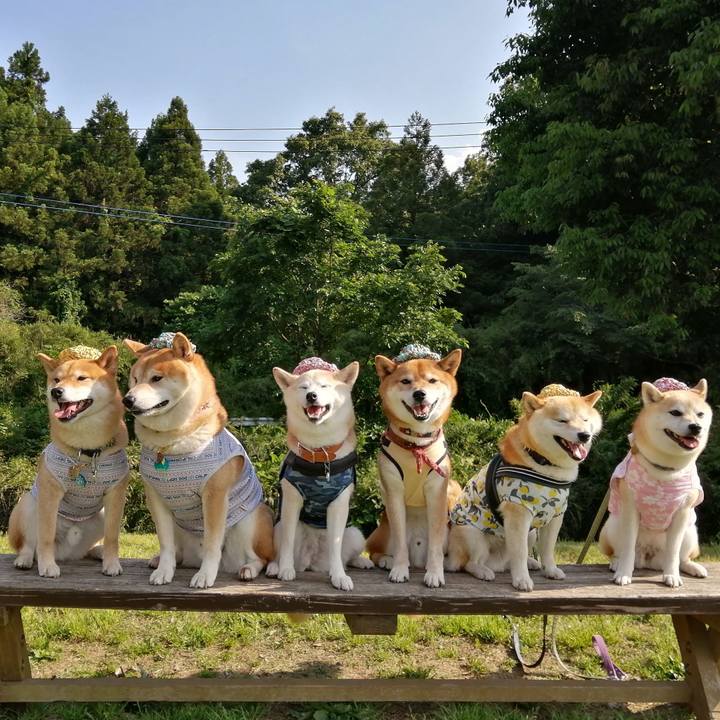 63968997 ce7a 4e1d 9191 8ee0b2d28c18 1653817422328