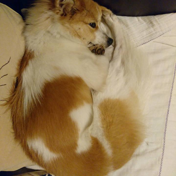 6396bd14 b930 4292 b924 94a9fd252a5c 1511533832739