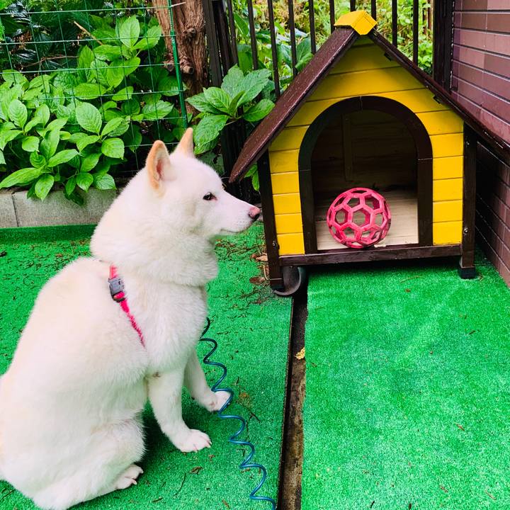 6396d27b 04f2 472e 8cbd 3e7692bc03b1 1601069784418