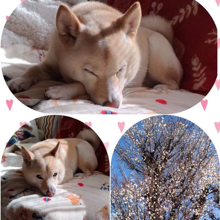 6396e7a9 7c12 47cf 9af2 f1f5fedbec70 1613007934975