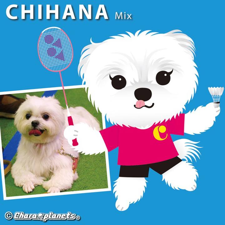 63970c9b 2add 4fd2 a58a be55fd1a2276 1564361678710