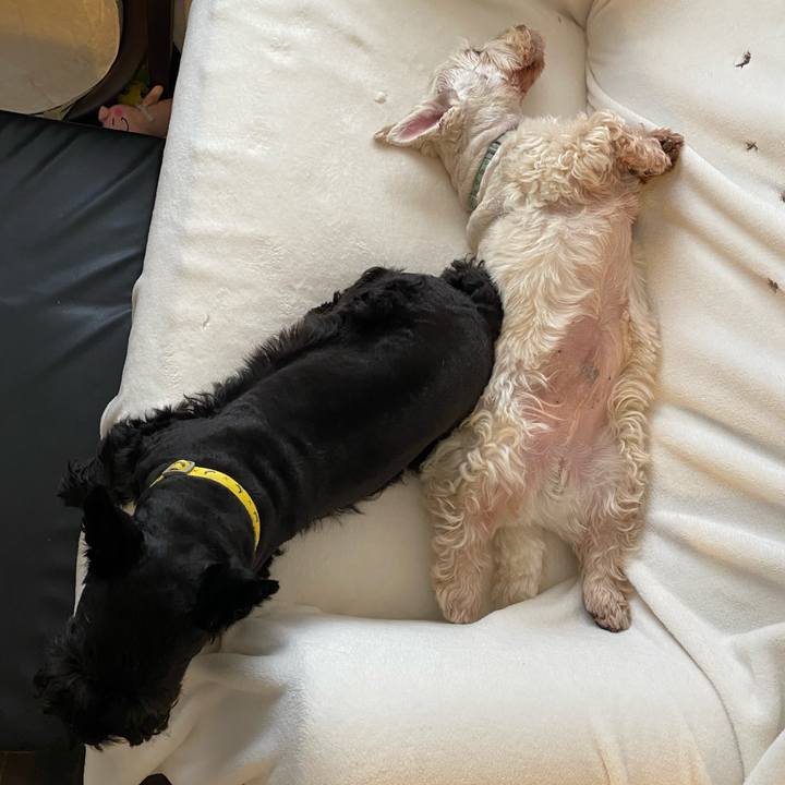 63977a4d 090f 49b0 b6be 803d585b69bf 1602557761586