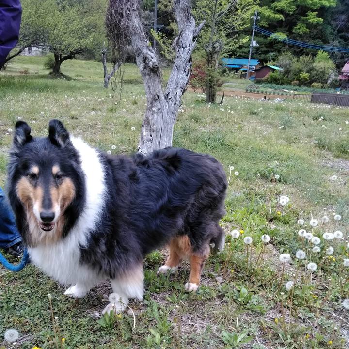 63978274 11e4 440c bbde bae0c0a8235a 1523970662022