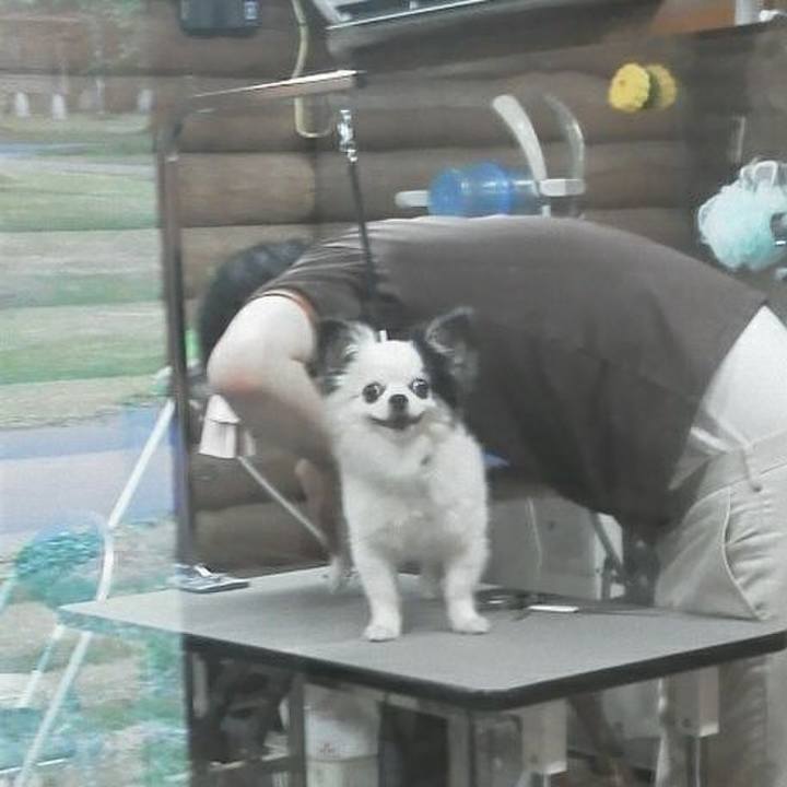 63978472 cda0 4b07 ab44 7bd134665571 1515582679900