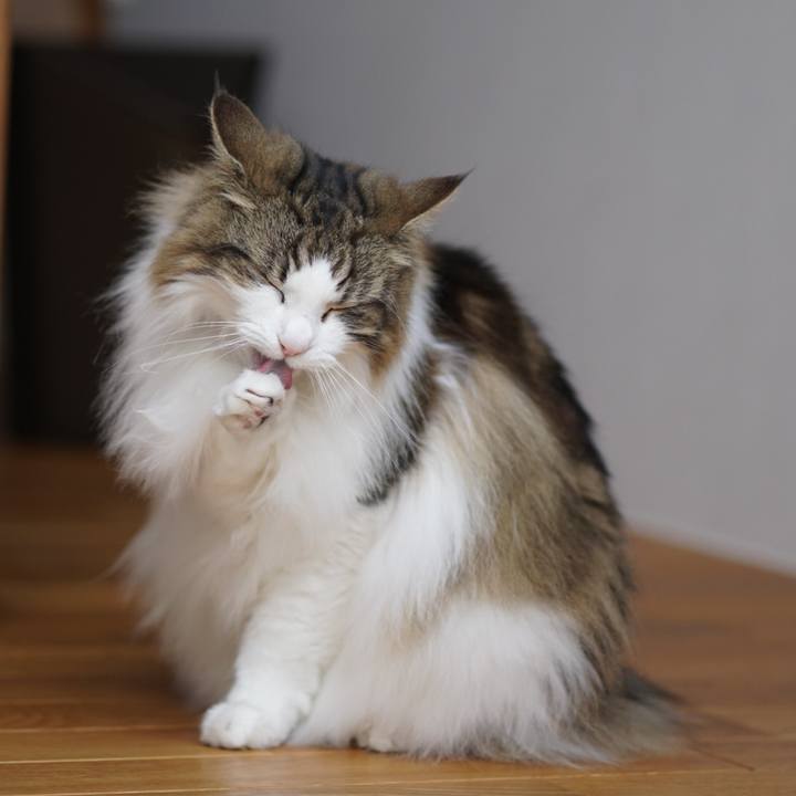 6397995a dace 43f2 972f 91bdd0cacb51 1654395862157