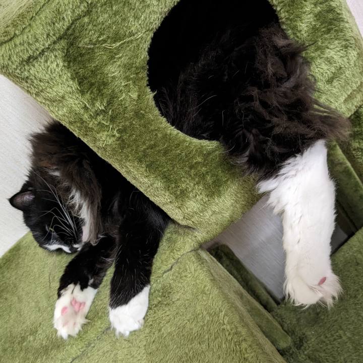 6397a299 75cf 4cd9 9ecc b7932cfe7826 1688438010181