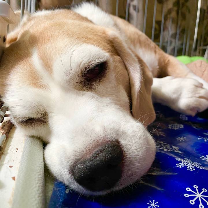 6397ac55 3ab6 4f62 8312 d859b78c6e6d 1599029087981