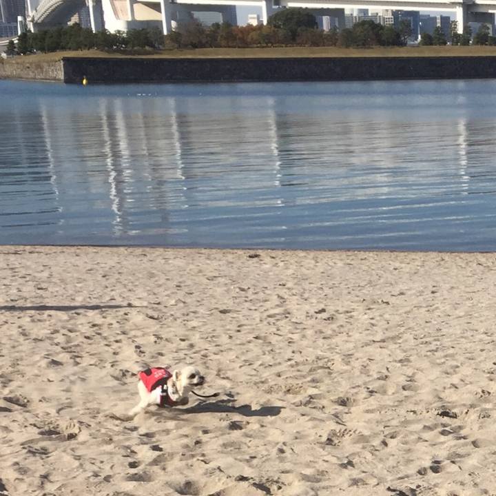 6397d1b4 7b71 4d5f bc9f 9891c31ea752 1512284940243