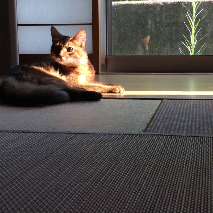 6397e8f2 56f8 43ad b44e 743c33305269 1573213341903